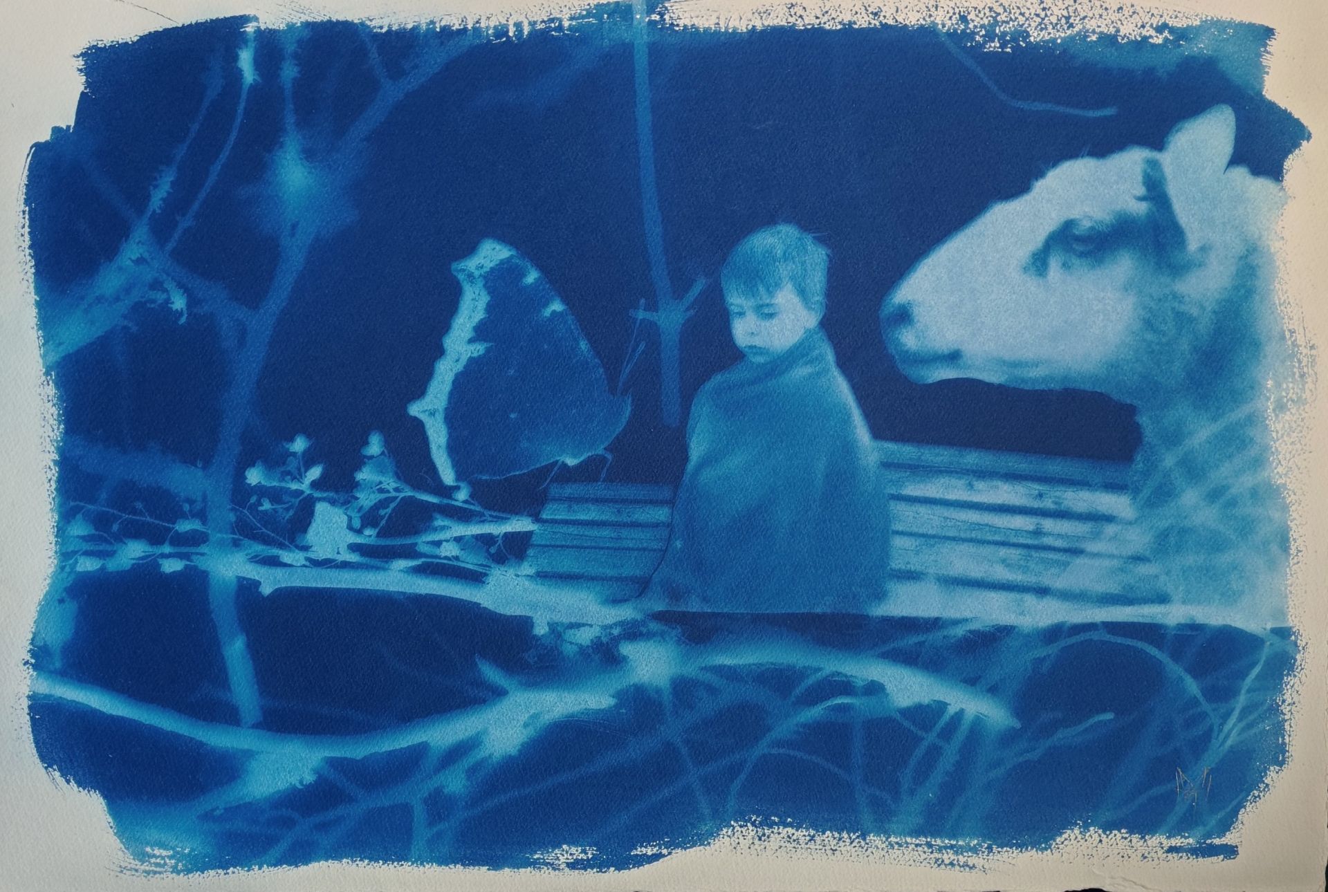 MIA HAMARI Matka, 2024 cyanotype Fabriano 640g 38 x 56 cm
