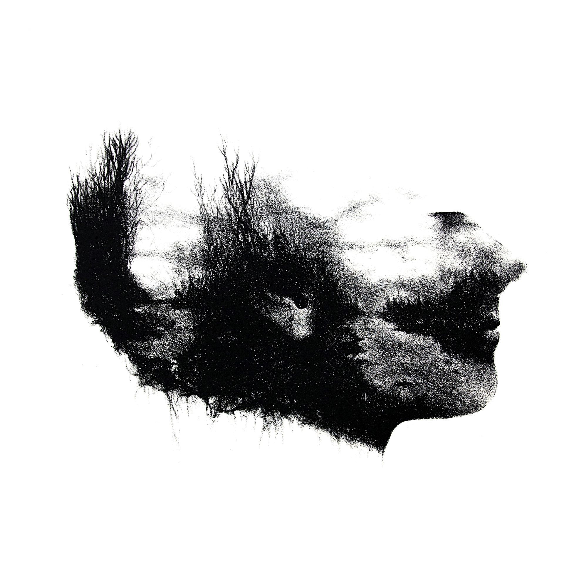 ANNI KRISTIINA,  My mind, 2014 Kivilitografia 35 cm x 35 cm