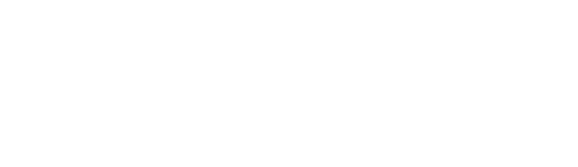 Aktiastiftelsen i Borgå