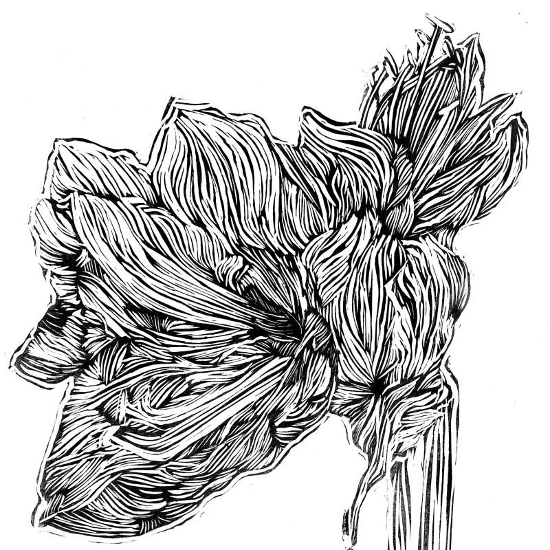 "Amaryllis" Print on paper. Woodcut.