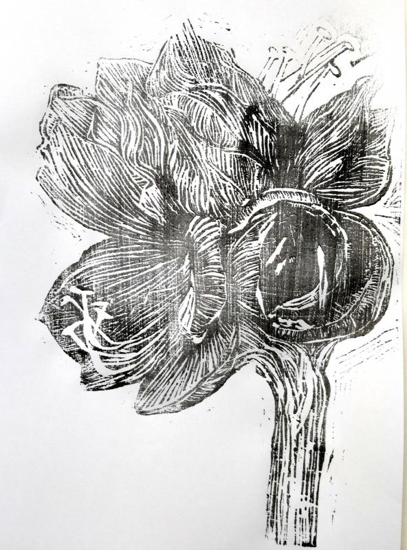 "Amaryllis red" print on paper. Woodcut. 