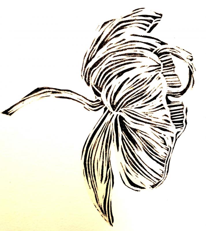 "Orchid" print on paper. Linocut
