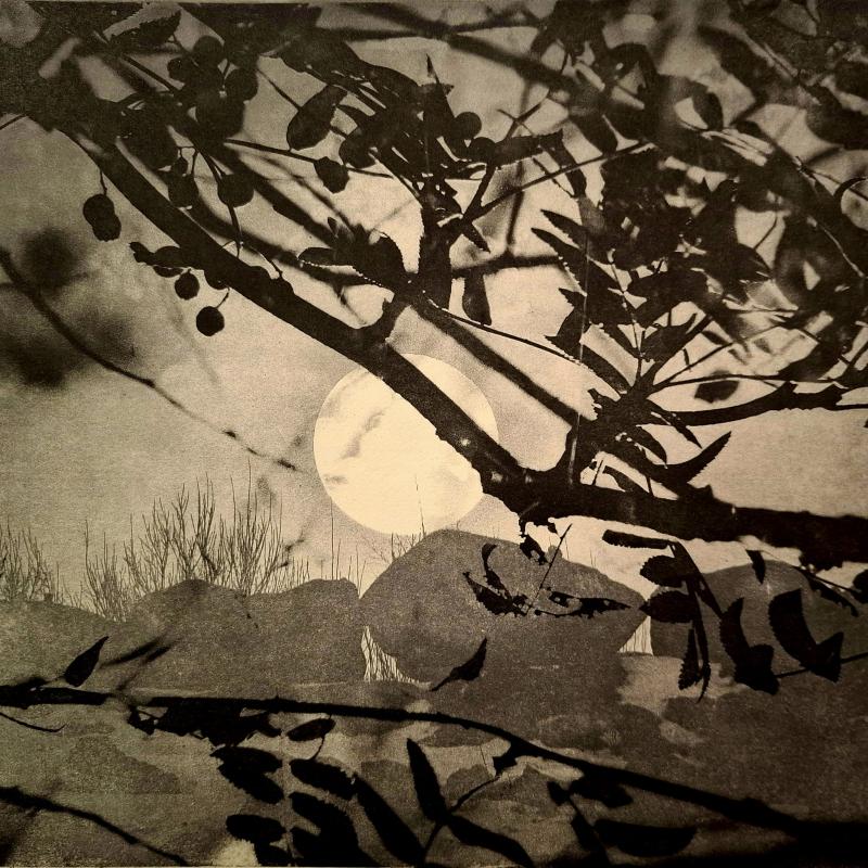 Valossa kuun, fotogravyyri, 41x29cm, 2025, Maire Kesseli
