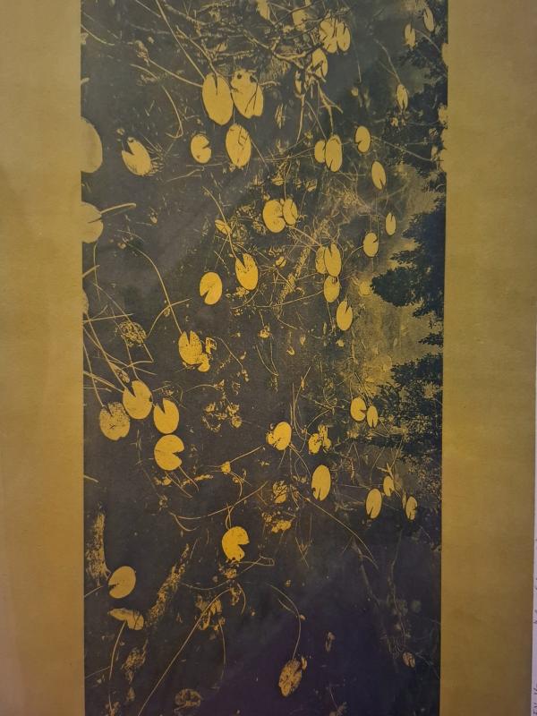 Metsälampi, fotogravyyri, 36x26cm, 2024, Maire Kesseli