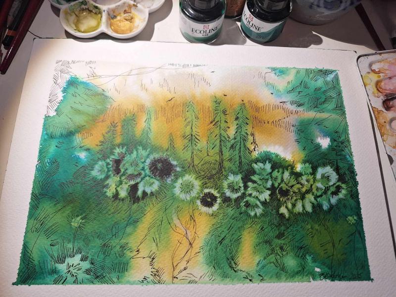 Flowering, akvarell och tusch
