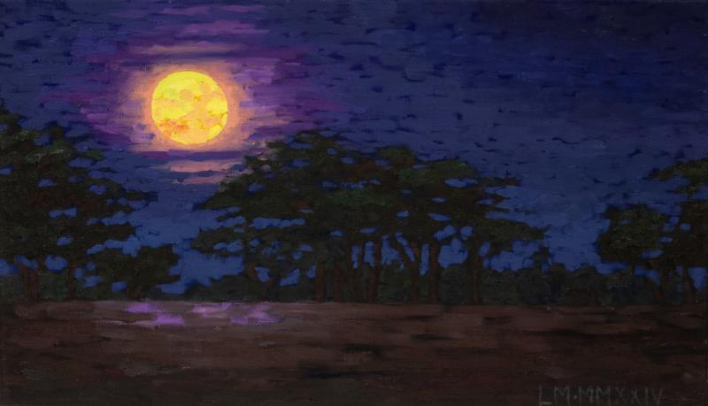 Namibian yö, äljy kankaalle 35x70cm,2024
