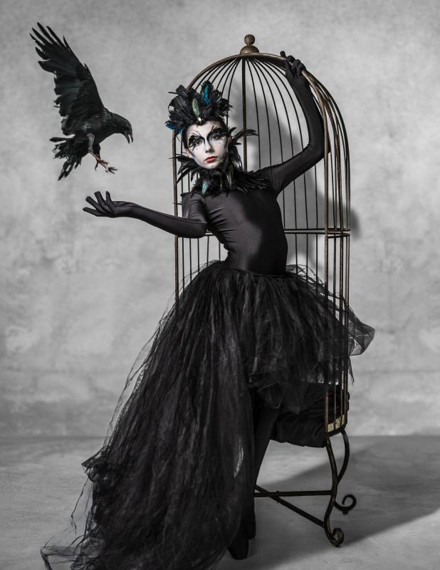 ur serien the Raven