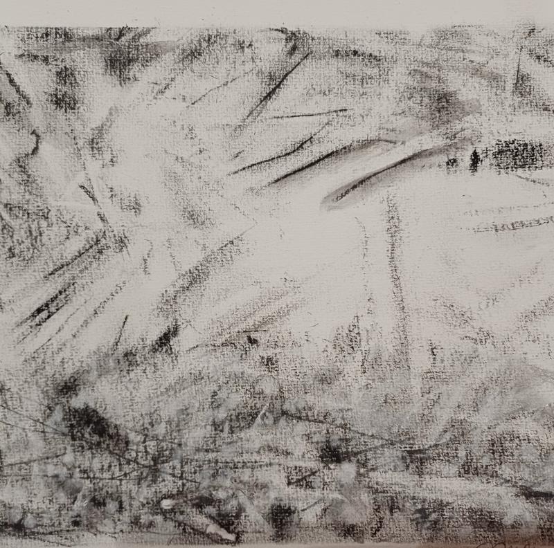 Lumessa, hiili paperille, 20 x 26 cm, 2025