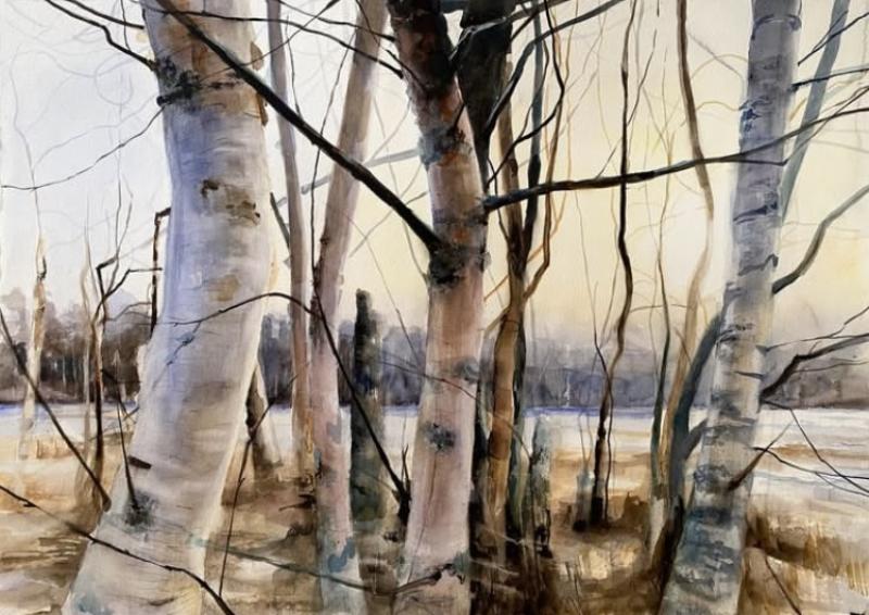 Stamtavla,  akvarell 2024, 75x105 cm