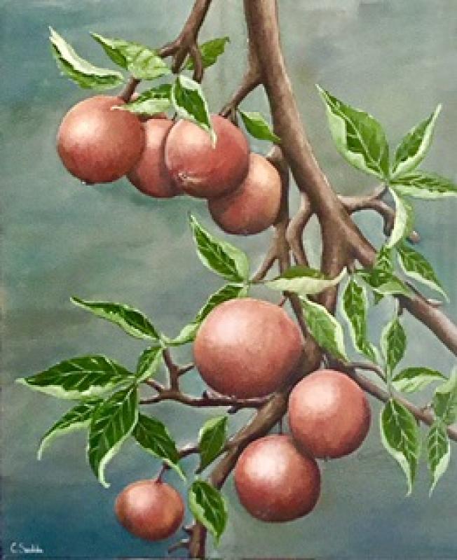 Olja på duk 45x55 