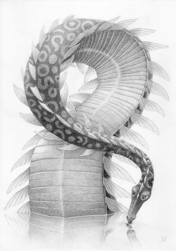 Tarja Kankkunen
Aquabestia pulchra 2024
lyijykynäpiirros 
piirustuspaperi A3 (28 cm x 40 cm) 
