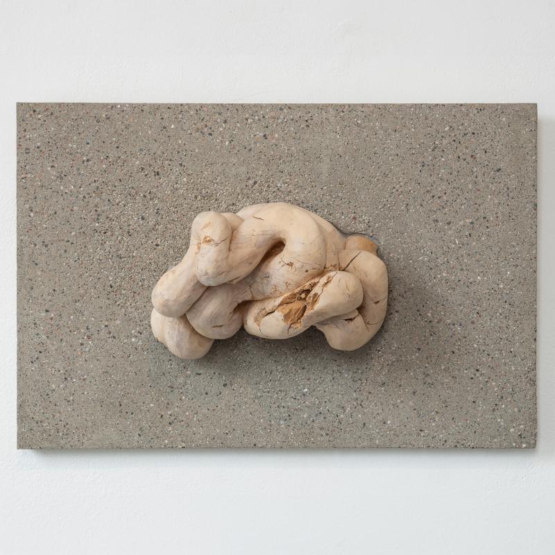 Transformer, 2022. Handhuggen surnad björk, betong. Visad på Galleria Sculptor, 2022.