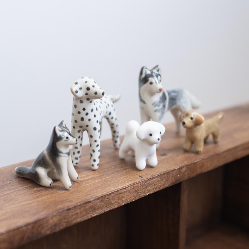 Koiria – kaksi huskya, dalmatialainen, maltakoira ja mäyräkoira