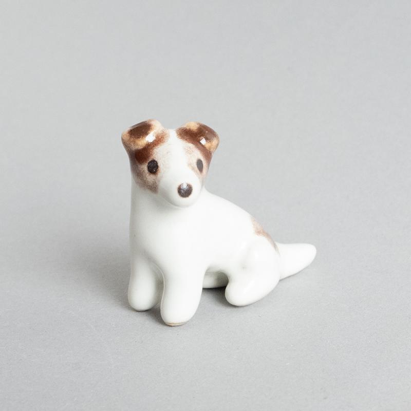 Jackrusselinterrieri