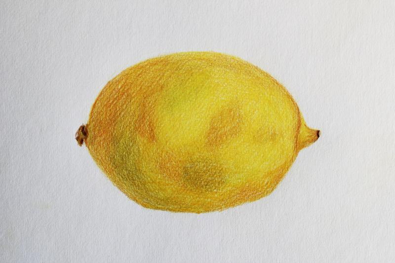 Maria Markus, When life gives you lemons, puuvärit paperille, 21 x 28cm, 2021