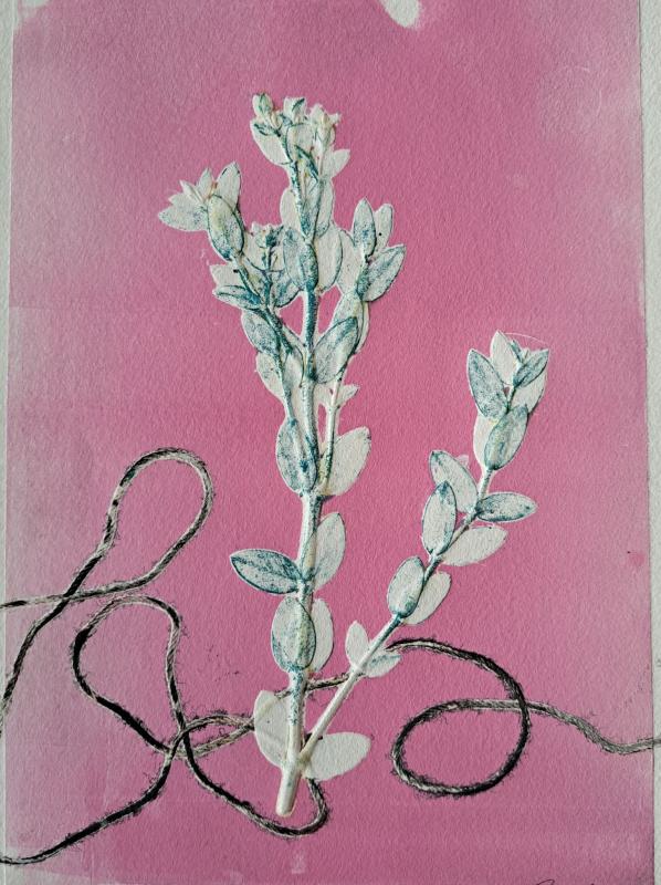 Ritva Sirjala, Lanka I, monotypia, 25x17cm, 2024, kuvaaja Ritva Sirjala