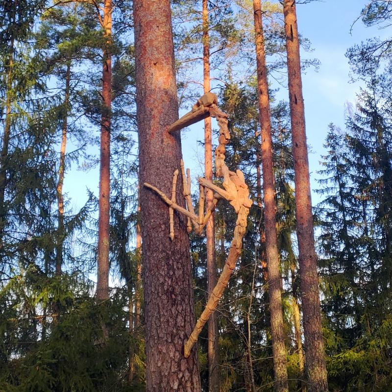 Peter Nash, Dendrocopos, Hub Feenix Magic Forest Trail 2024